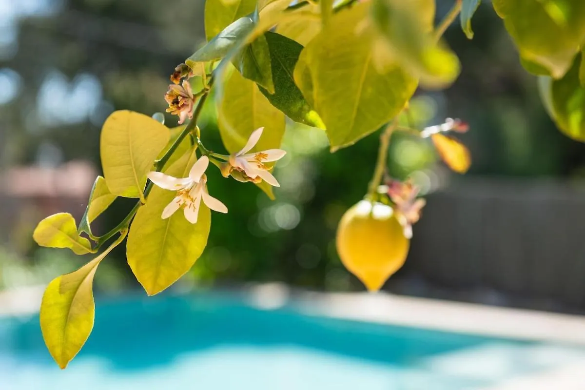 Holiday home Villa Espectacular Privada Con Piscina Y Aacc Castelldefels